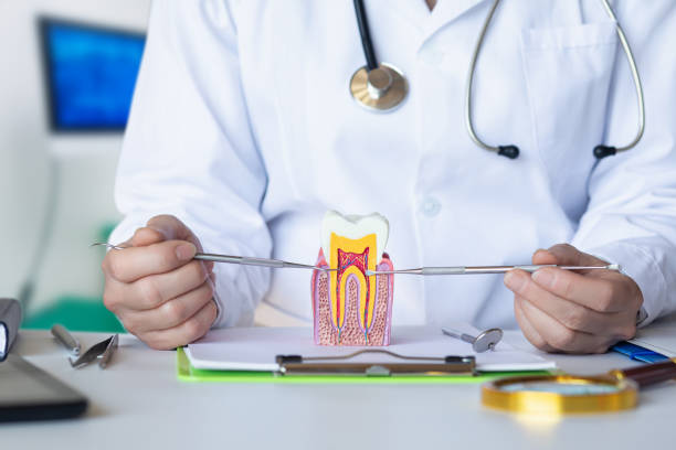Best Emergency Orthodontic Repairs in Kentfield, CA